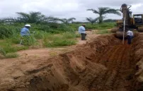 Swamp Road Project