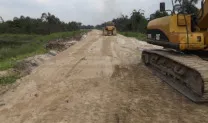 Swamp Site Preparation